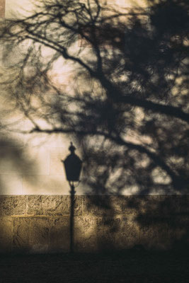 309/365: 05.11.2025 - Schattenspiele an der Glyptothek