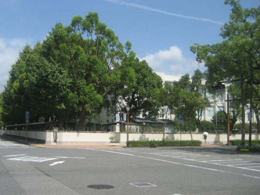 高知県立高知追手前高校塀のオープンスペース