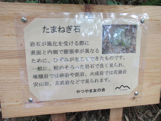 タマネギ石の看板