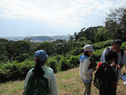 頂上から駿河湾が見えました。かつてこの辺りは海で、谷津山や八幡山は海の中に浮かぶ島でした。