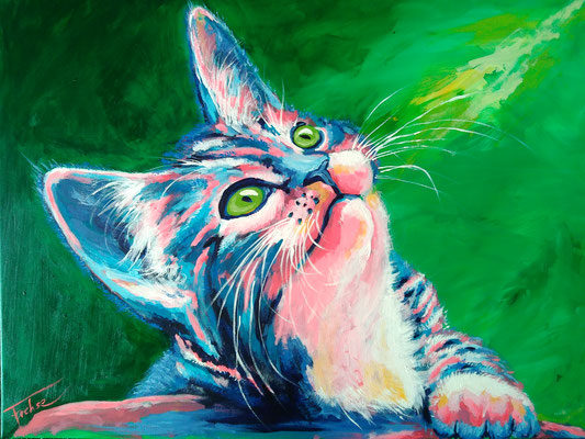 NEUGIERIGER KATER   | Acrylic  on Canvas 80x60 cm |