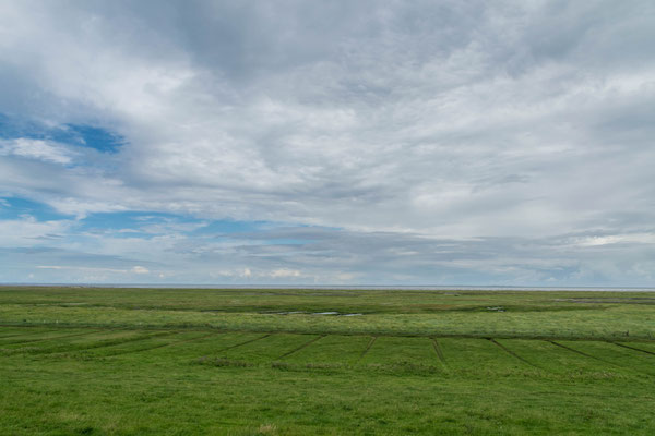 Marschland Föhr