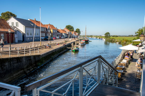 Ribe