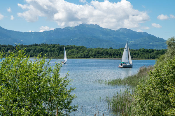 Chiemsee