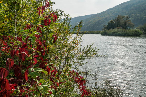 Gemünden