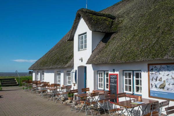 Hamburger Hallig