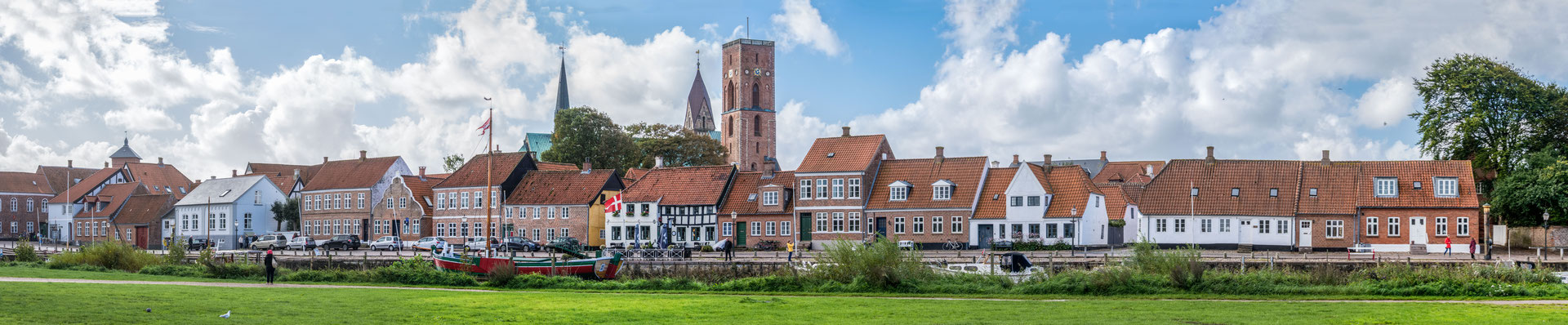 Ribe