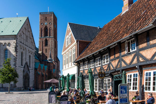 Ribe