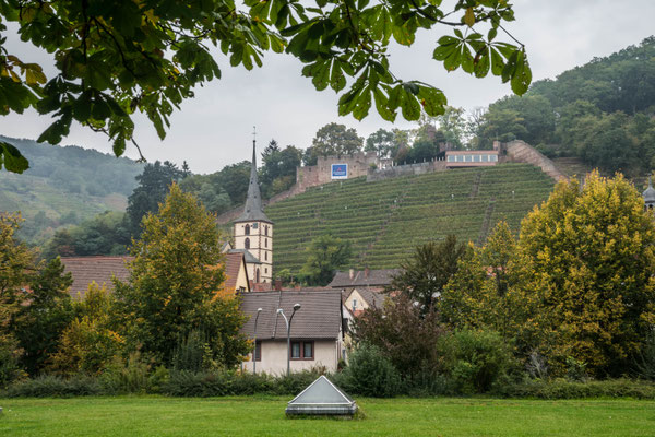 Klingenberg