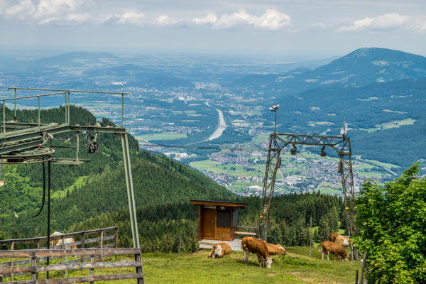 Rossfeldstrasse