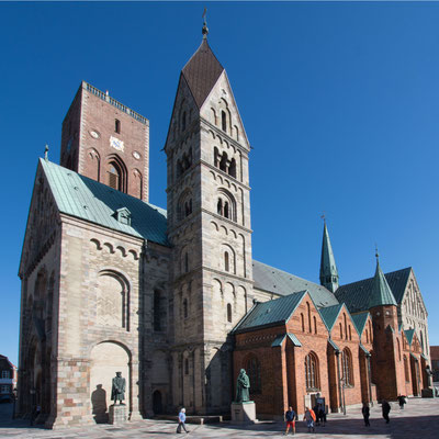 Ribe