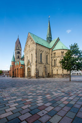 Ribe