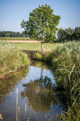 Schopfloch