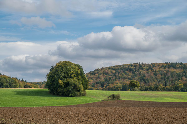 Lauterhofen