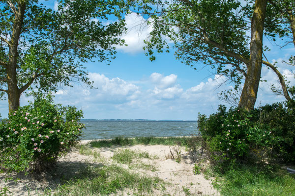 Zudar, Rügen