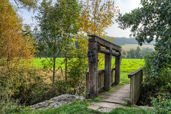 Binsfeld