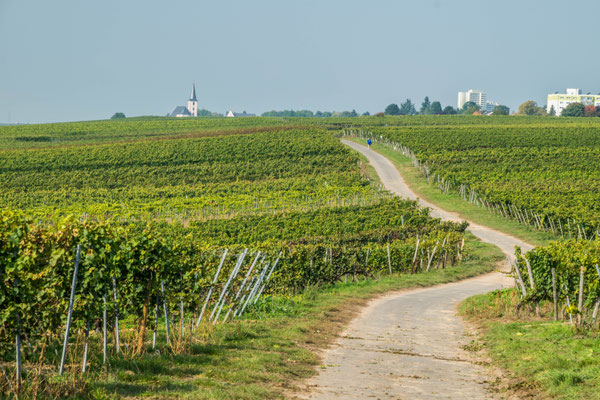 Hochheim