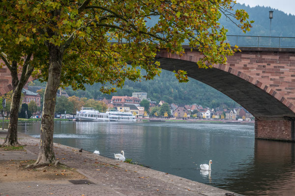 Miltenberg