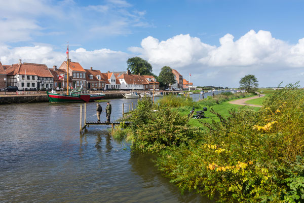 Ribe