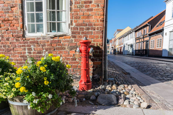 Ribe