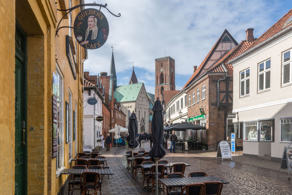 Ribe