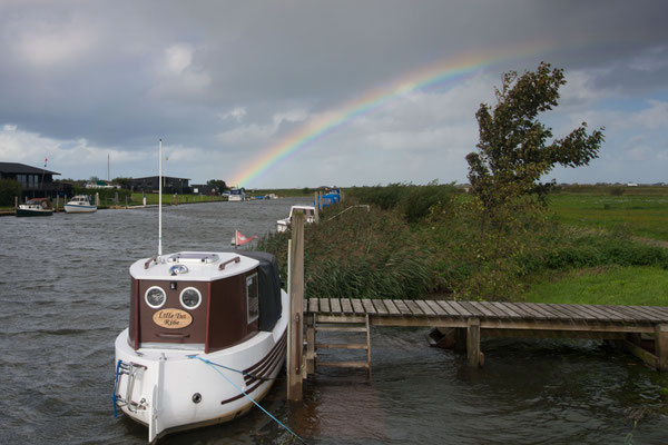 Ribe