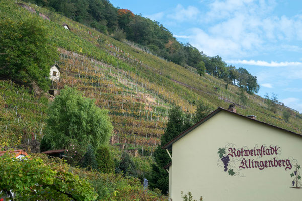 Klingenberg