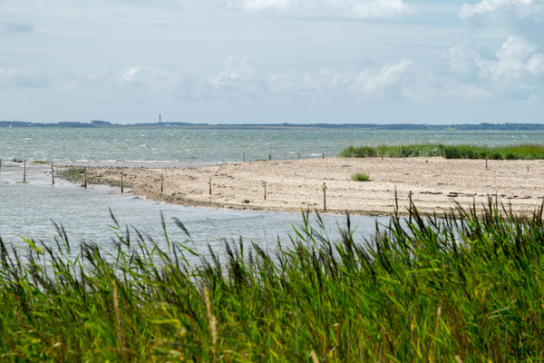 Blick auf Amrum