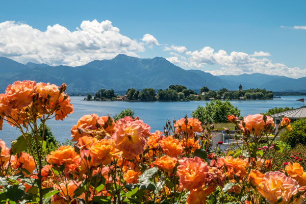 Chiemsee