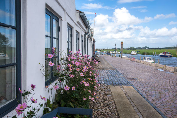 Ribe