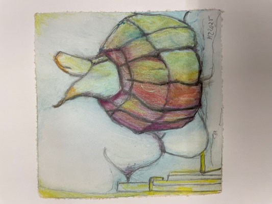 Renate Eugénie Mach, Entwicklung, Öl, Blei-/Farbstifte auf Papier, 20x20, € 99,-, gerahmt, mit Pass