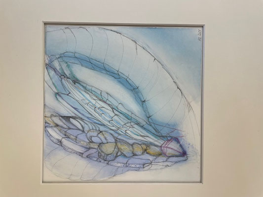 Renate Eugénie Mach, Libellenflügel, Öl, Bleistift auf Papier, 30x30, € 129, gerahmt, mit Pass.