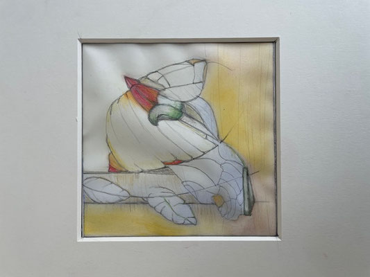 Renate Eugénie Mach, fleur exotique, Öl, Bleistift auf Papier, 30x30, € 129, gerahmt, mit Pass.