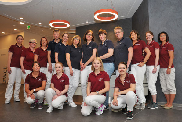 Das Team im Juni 2017