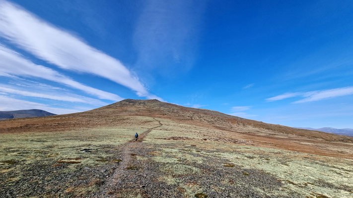 Dovrefjell, Pikhetta