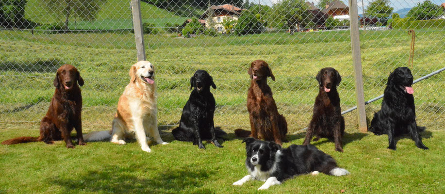 Diego, Nick, Fée, Kiri Brownie, Finn und Loa