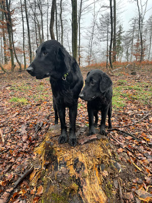 Bruder und Schwester Fjonn und Paige