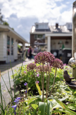 Netwerken in het groen voor vrouwelijke ondernemers met het platform PowerVrouwen Nederland