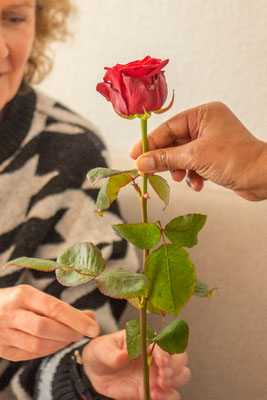 PowerVrouwen Zuid-Holland, Meet en Eat op zaterdag 15 februari 2025