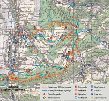 Waldwanderung im Naturpark Jura