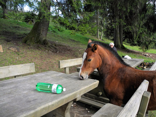 Freie Fotos Schweiz