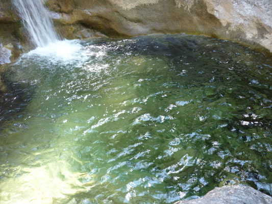 Wasser in einer Gumpe.
