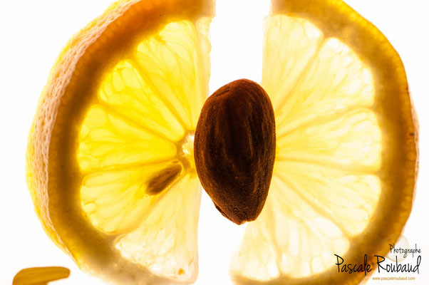 Photographie culinaire citron