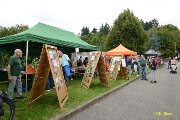 Ein Blick auf die Infowände