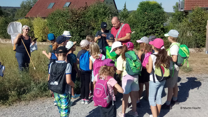 Ralf Gramlich erklärt die "Gottesanbeterin"