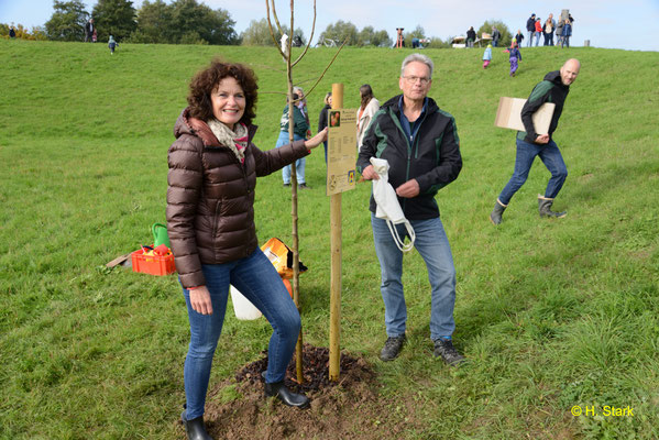 Der Baum ist gepflanzt - 
