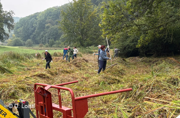 Arbeiten im Paradies