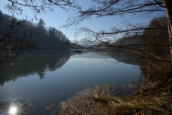 Das Naturschutzgebiet "Michelbachsee"