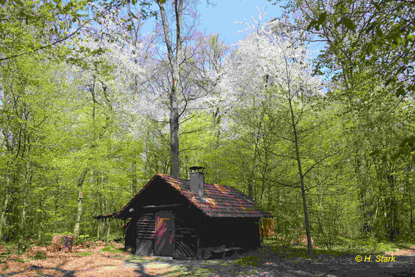 Die Spitzenberghütte des Naturschutzverein im Frühling