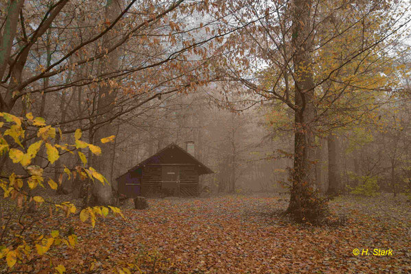 Herbststimmung
